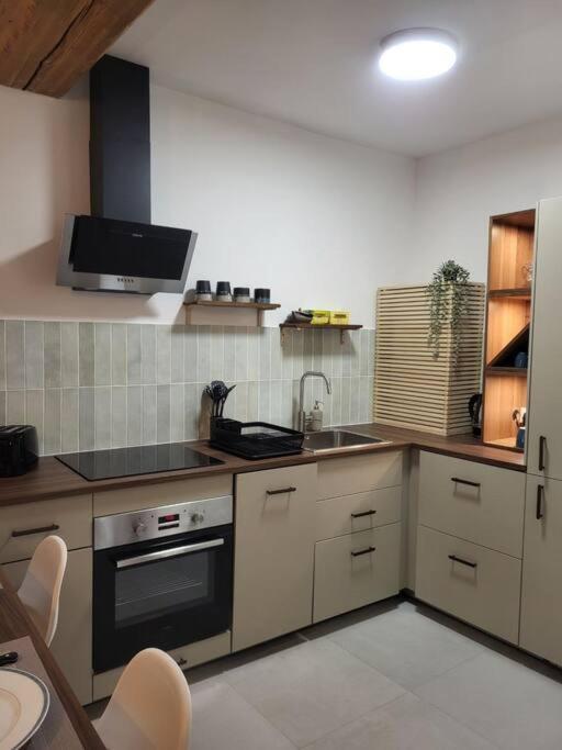 O Bon'Endroit - Appartement Confort - Centre Ville Vienne  Esterno foto